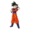 Goku 20