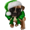 Dogs 30