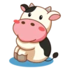 Momo Cow 5