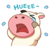 Momo Cow 7