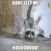 imgfilip.com
DONT LEFT ME
NOO000000!