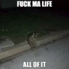 imgfilip.com
FUCK MA LIFE
ALL OF IT