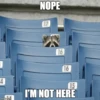 4
imgflip.com
NOPE
16
16
15
I'M NOT HERE