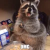 22
imgflip.com
POO
Wis
OMG