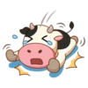 Momo Cow 10