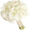 Flores de todos os tipos 8