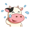 Momo Cow 12