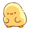 CUTE CHICKS 9