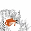 Illustrations 11