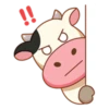 Momo Cow 14