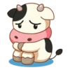 Momo Cow 15