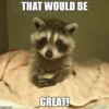 imgflip.com
THAT WOULD BE
GREAT!