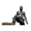Vikings 14