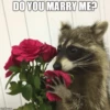 imgflip.com
DO YOU MARRY ME?