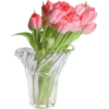 Flores de todos os tipos 12