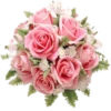 Flores de todos os tipos 14