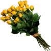 Flores de todos os tipos 15
