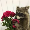 My Evil Raccoon 14
