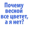 Idiotic_requests 19