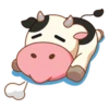 Momo Cow 17