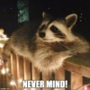 imgfilip.com
Suppany
NEVER MIND!