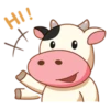 Momo Cow 20