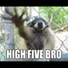 HIGH FIVE BRO
quickmeme.com