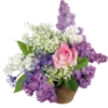 Flores de todos os tipos 17
