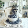 712
imgflip.com
SUCH A
SAD STORY BRO!
