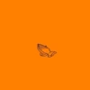 Indelible Orange 11