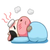 Momo Cow 23