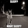 imgfilip.com
SLEEP?
WHAT SLEEP?
