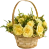 Flores de todos os tipos 21