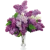Flores de todos os tipos 22
