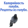 Idiotic_requests 28