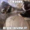 CALM DOWN
HE DONT DESERVE IT!
imgfilip.com