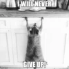 inglip.com
I WILL NEVER T
GIVE UP!