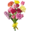 Flores de todos os tipos 25