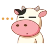 Momo Cow 25