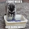 imgfilip.com
I DONT NEED A
GOD DAMN WIFE