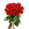 Flores de todos os tipos 29