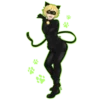 www
