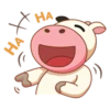Momo Cow 29