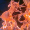 Indelible Orange 21