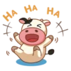 Momo Cow 30