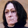 Harry potter Memes 6