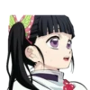 Demon Slayer: Kimetsu no Yaiba 6