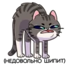 meowr_vk 5