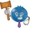 Blueberry lol 6