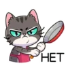 meowr_vk 6